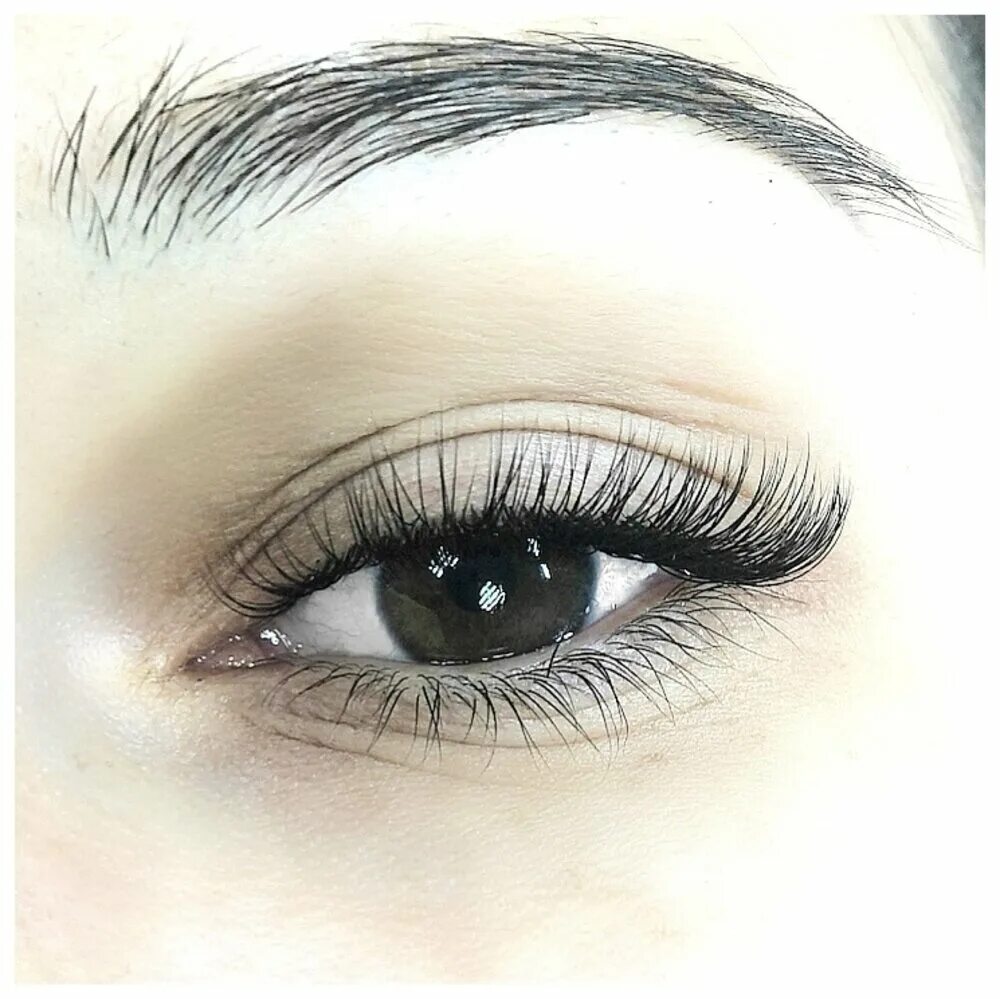 Ресницы классика 2д голливуд. Ресницы 1д 5д. Как выглядит 1 5 д. 5д классика. Наращивание ресниц 1д классика.