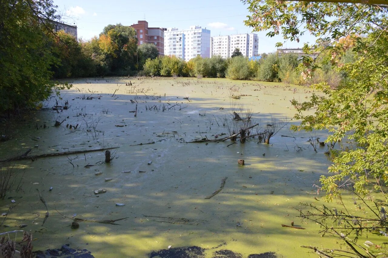 Козловское озеро Обь. Экопарк Обской в городе Оби. Козловское озера Новосибирск. Козловское озеро Красноармейск Московская область.