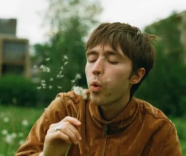 Matt maltese