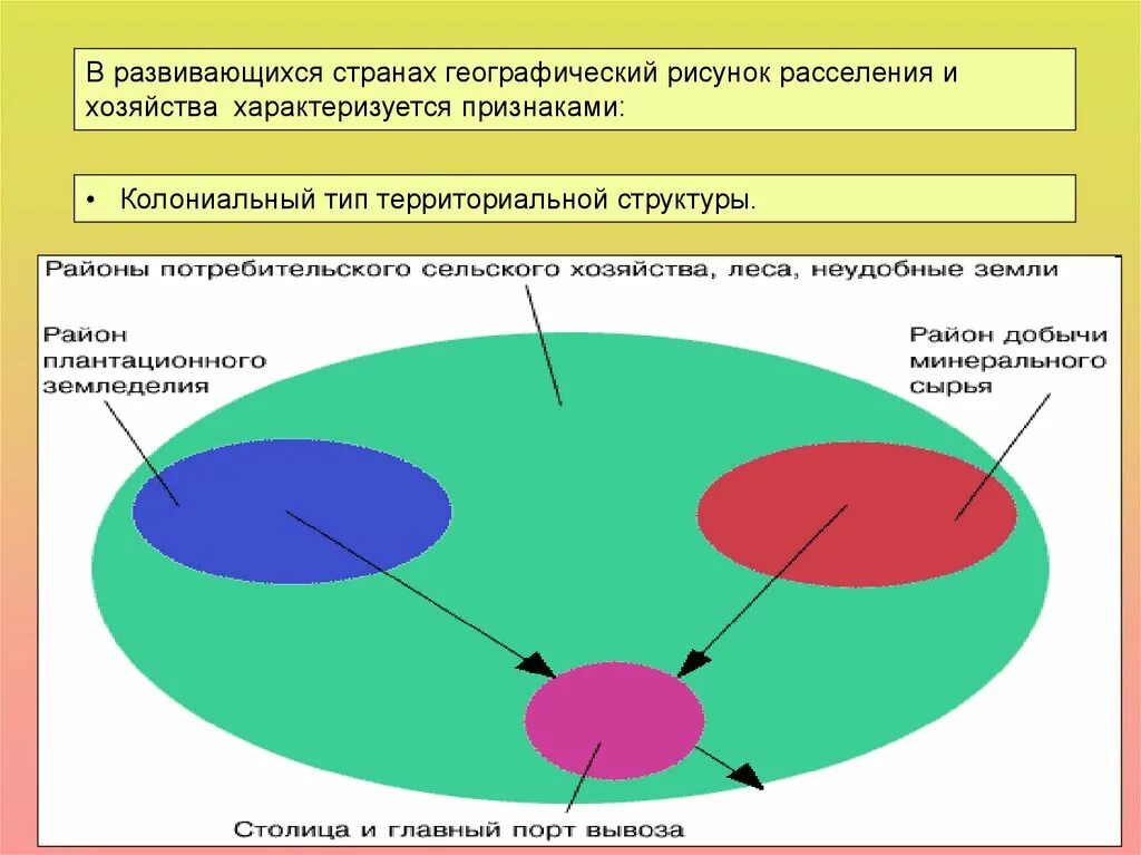 Рисунок расселения. Территориальная структура экономики развитых стран. Территориальная структура развитые страны. Территориальная структура хозяйства схема. Типы территориальной структуры хозяйства.