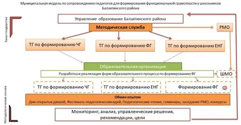 Функциональная грамотность взрослая еда