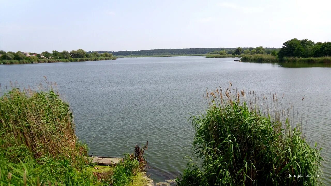 Буки черкасская область каньон. Село казацкое украина. Каньоне буки кировоградской области. Показать черкасскую область. Маньковский район черкасская область украина.