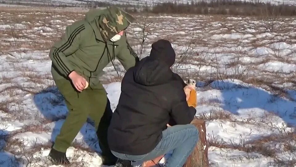 Худший браконьер песня. Стычка с браконьерами. Соколов-Кречетов браконьерство. Волонтер против браконьеров.