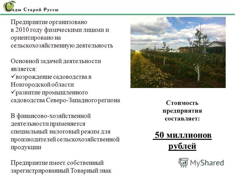 старая русса река 19 век. развитие старой руссы. сообщение о городе старая русса. старая русса историческое значение. развитие старой руссы.