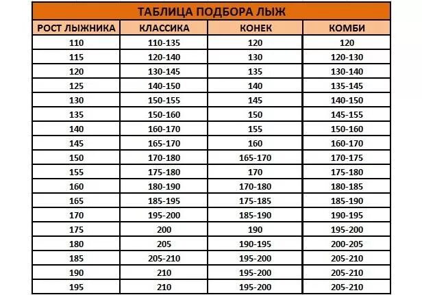 7 лет 120 см