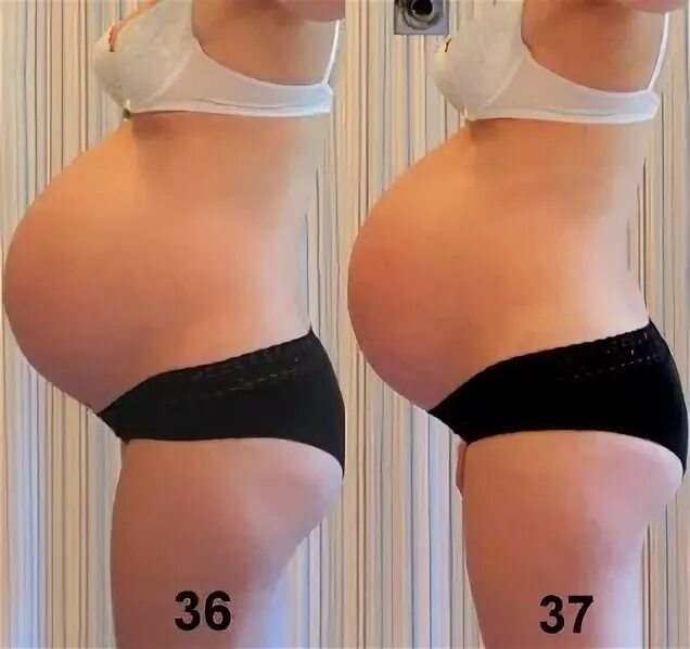 Живот на 36 неделе. 37 Полных недель беременности. 36 Недель беременности картинка. 37 неделя признаки