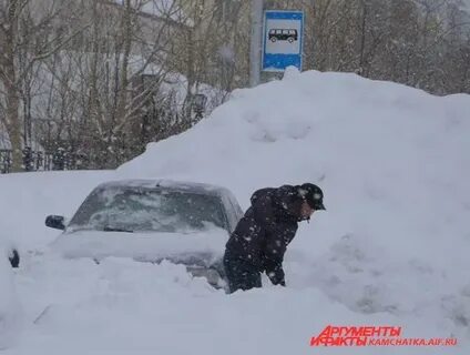 Снегопад засыпает дорогу