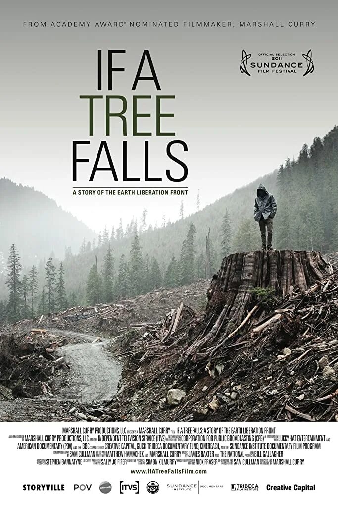 Tree falls