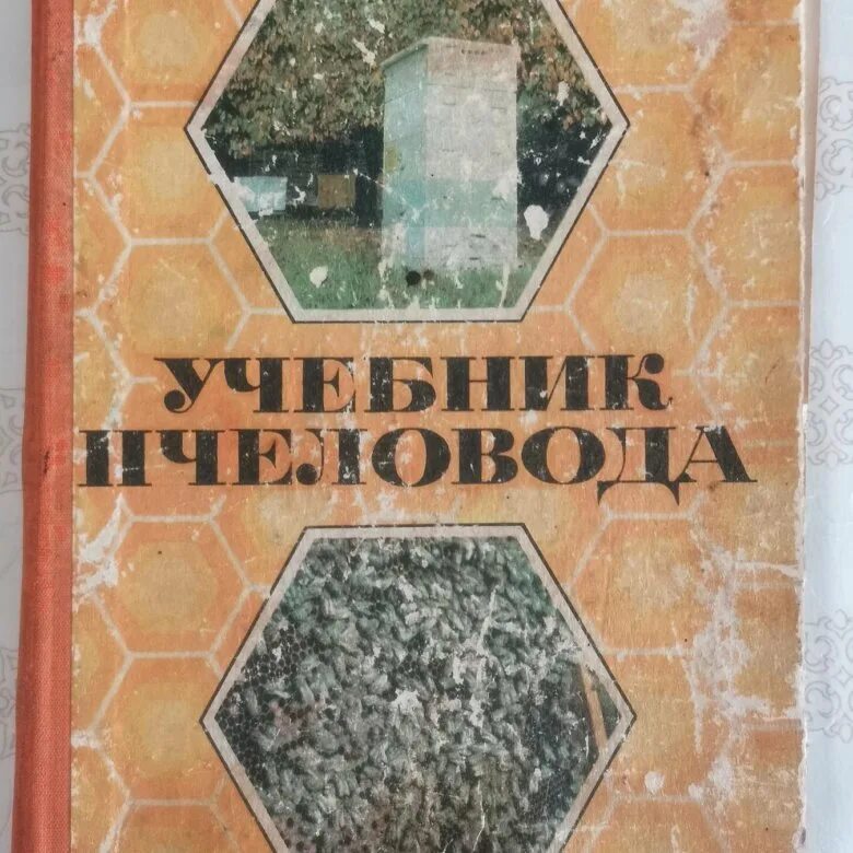 Учебник пчеловода. Учебник пчеловода. 8. Старые книги по пчеловодству. Учебник пчеловода 1973.