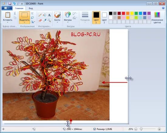 Как обрезать в paint