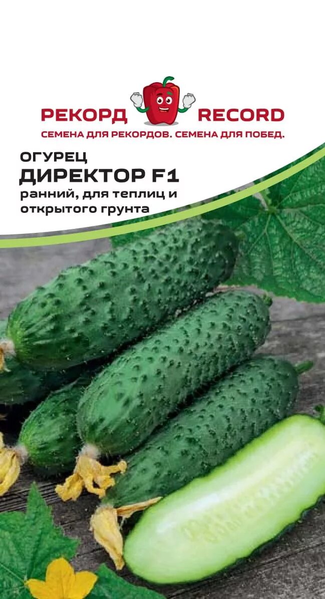 Партнер огурец директор f1. Огурец рубинштейн f1 престиж. Партнер огурец директор f1. Огурцы президент f1. Директор огурцов.