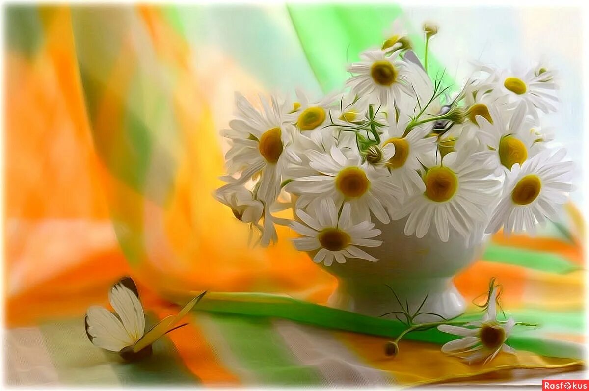 Доброе утро хорошего дня добрых улыбок. Пусть день принесет удачу. Открытки с добрым утром позитивные. Цветы с пожеланиями хорошего дня. Доброе июньское утро с пожеланиями.