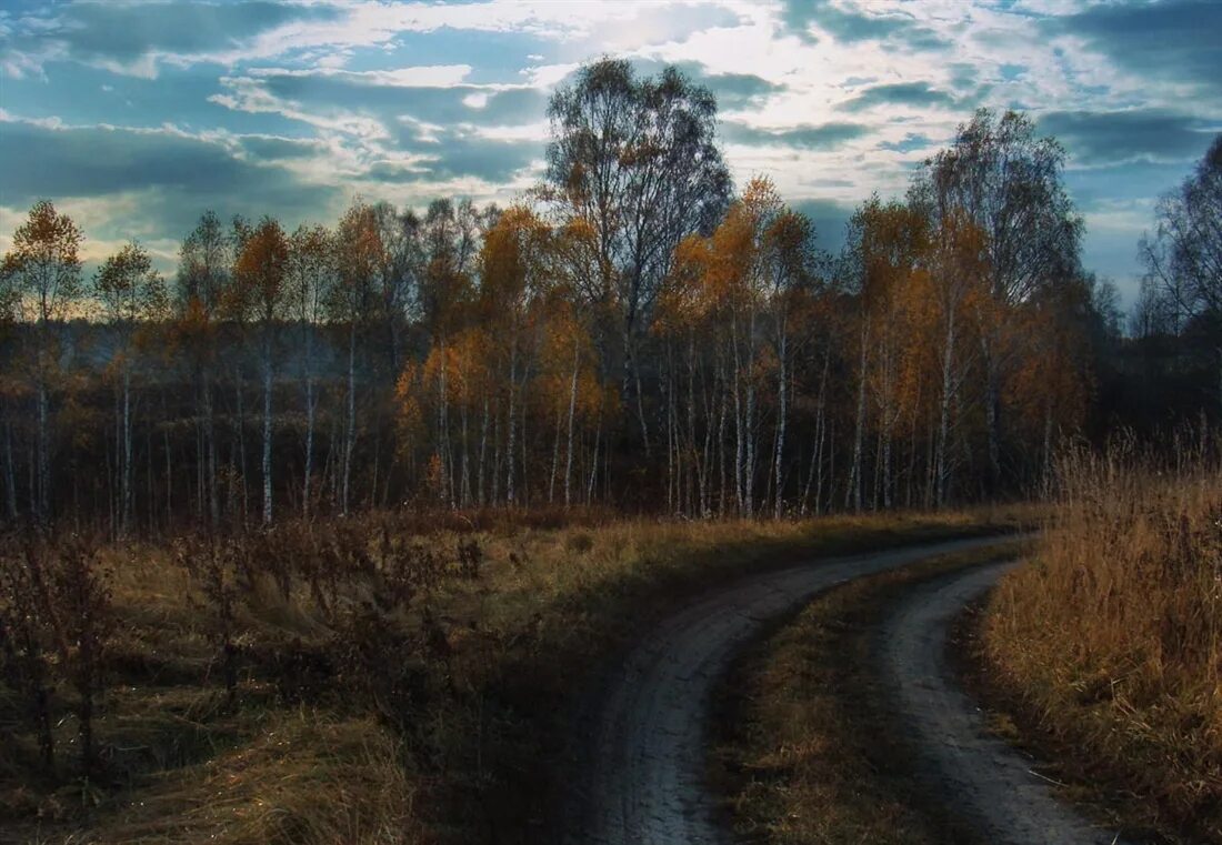 Дорога поздней осенью. Поздняя осень дорога в деревне. Дорога в ноябре. Осенняя дорога ноябрь. Осень дорога в деревне