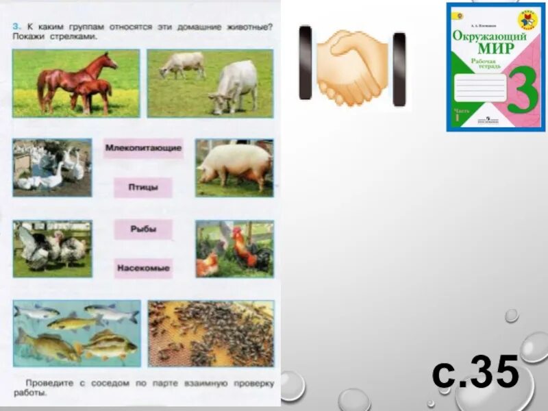 Окружающий мир тест на тему животноводство. Задания по окружающему миру 3 класс животноводство. Животноводство рабочая тетрадь. Окружающий мир рабочая тетрадь животноводство. Окружающий мир 3 класс рабочая тетрадь тема животноводство.