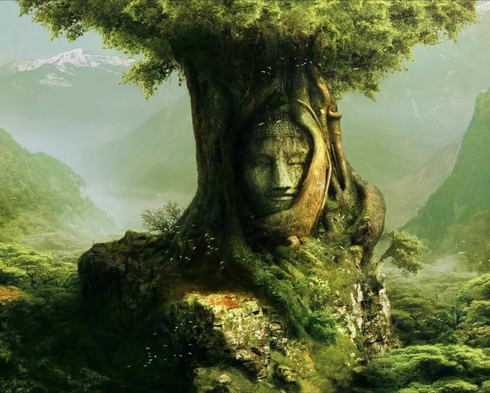 Картинки лицо дерево. Сказочное живое дерево. Дерево с лицом. Сказочное дерево с лицом. Магическое дерево живое.