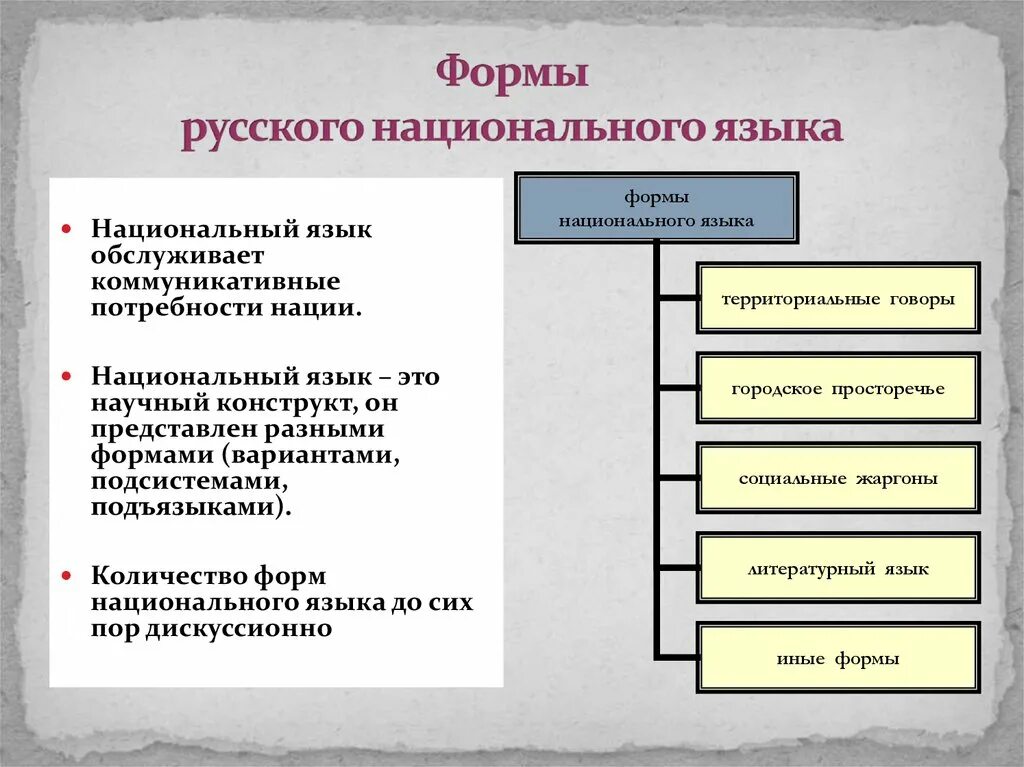 Составляющие национального языка. Основные формы существования национального русского языка. Формы национального языка. Формы существования русского национального языка. Формы существования язцкк.