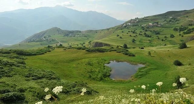 Прицветниковый мак ставрополье. Полынно-злаковые степи ставропольского края. Ставропольский край природа степи. Природа окрестностей моздока. Кустарниковая степь бештау.