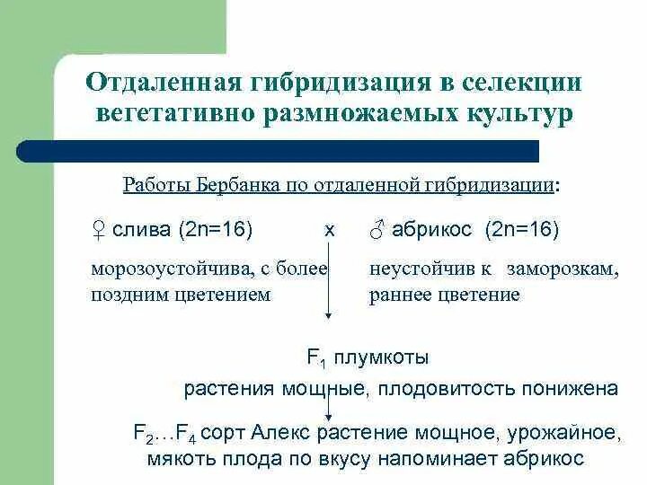 Гибридизация культур. Примеры отдаленной гибридизации у растений. Отдаленная гибридизация растений примеры. Гибридизация в селекции. Методы гибридизации в селекции.