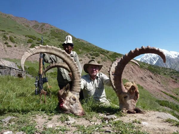 Охота на таджиков. Марко поло Таджикистан. Охота в Таджикистане в горах. Таджикистан охота на аргали.