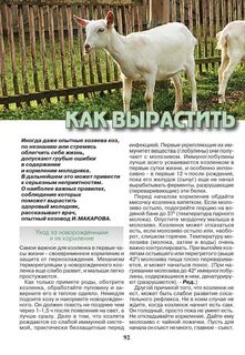 Сколько месяцев носит коза