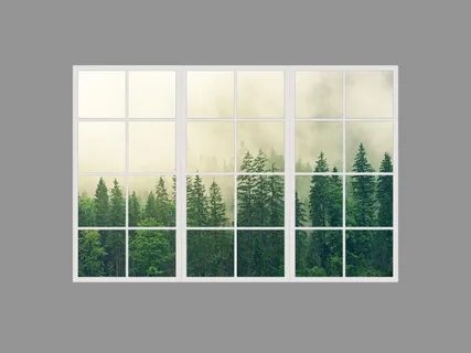 False window