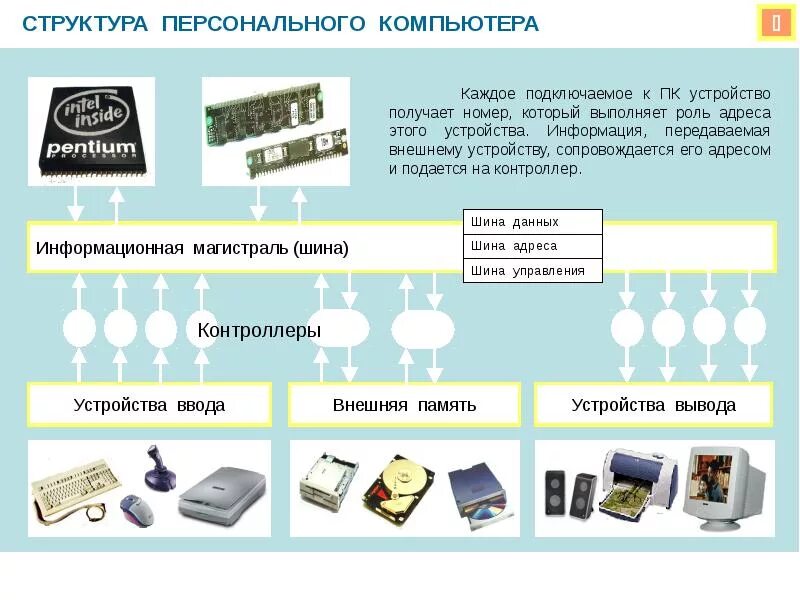 Виды персональных компьютеров устройство компьютера. Структура компьютера. Информатика структура компьютера. Структура персонального компьютера ПК. Структура персонального ПК.