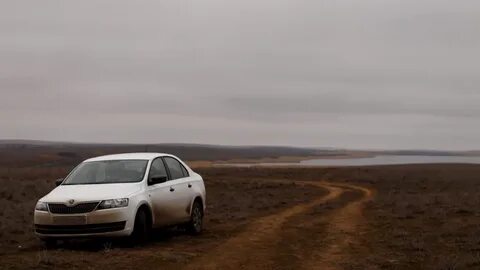Машина степей