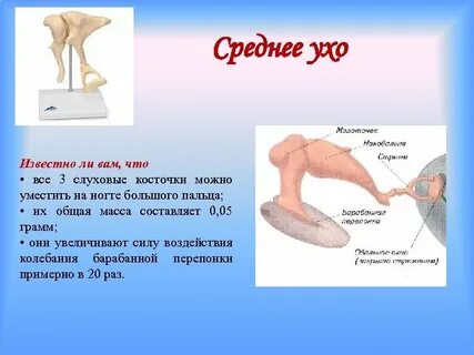 Звуковые косточки