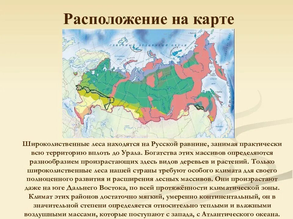 Широколиственные леса относительно морей и океанов. Территория тайги на карте России. Природные зоны России Тайга. Тайга на карте России природных зон. Расположение природных зон.