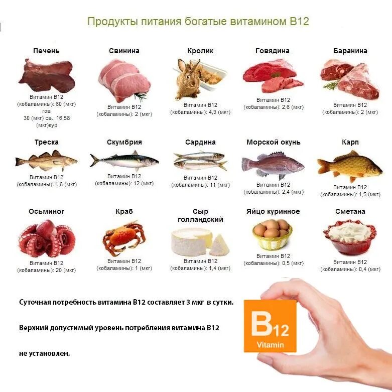 Для чего нужен б 12. Витамин б12 продукты содержащие витамин. Продукты содержащие витамин в12 список продуктов таблица. Витамины в12 и д в продуктах питания таблица. Продукты содержащие витамин в 12 в большом количестве таблица.