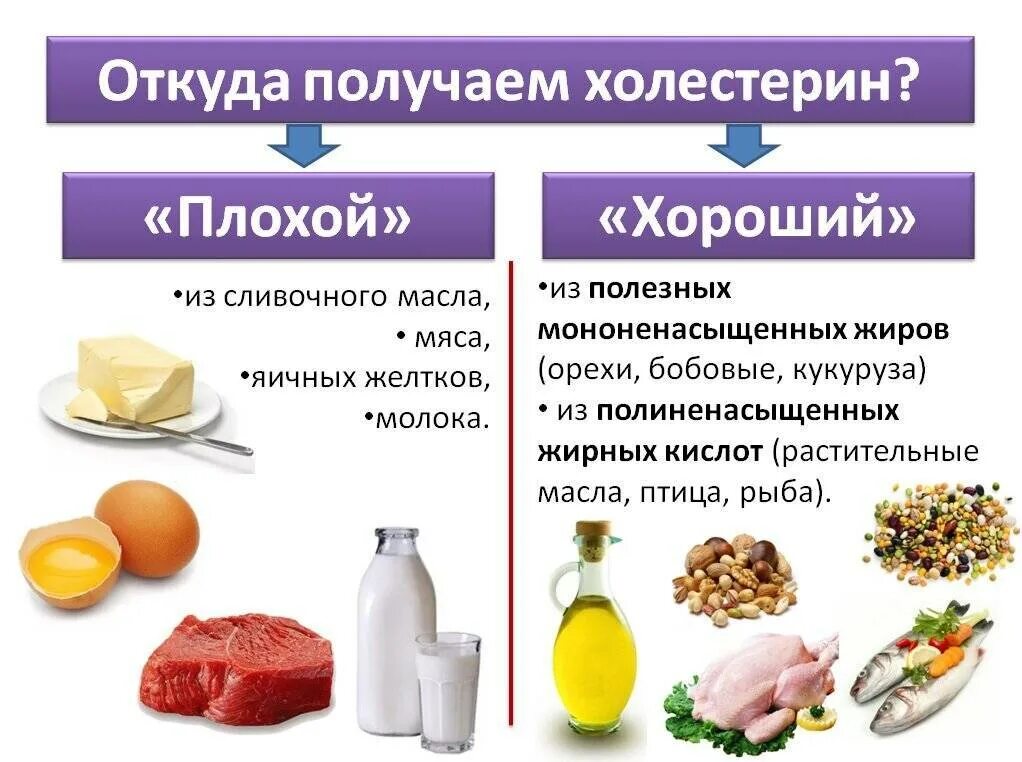 Снизить холестерин питанием. Холестерин. плохой и хороший холестерин. продукты с плохим холестерином. полезный и вредный холестерин.