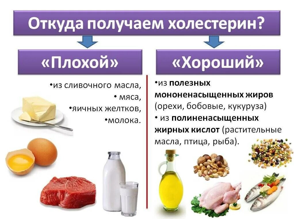 Холестерин. Продукты с плохим холестерином. Вредный и полезный холестерин. Продукты понижающие холестерин. Продукты являющиеся эффективным