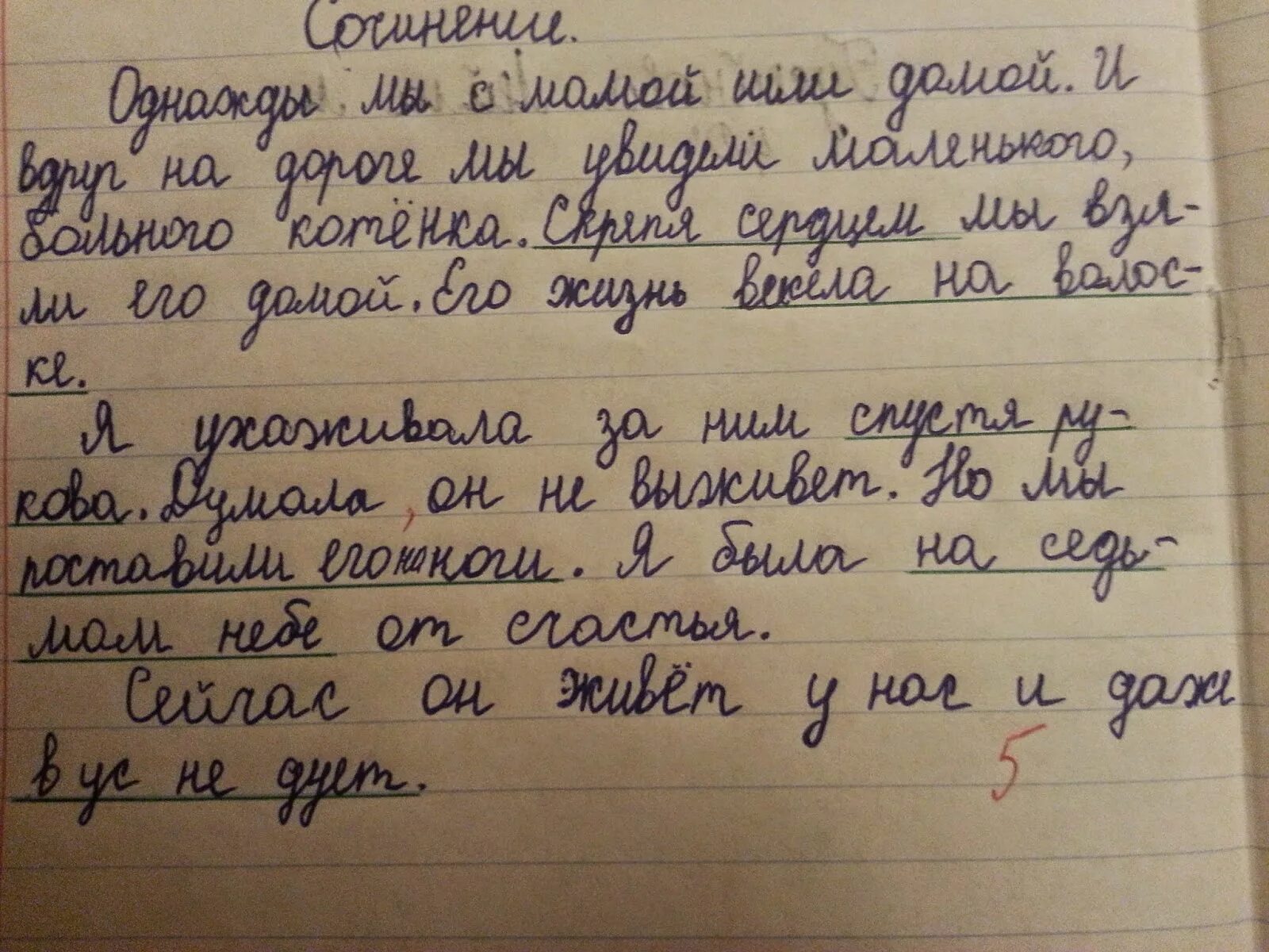 Написать рассказ на тему случай в. Мини сочинение. Фразеология сочинение. Интересное сочинение. Маленькое сочинение.