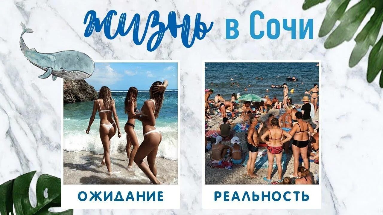 Сочи цитаты. Сочи ожидание реальность. отдых в сочи ожидание реальность. сочи реальность. плюсы и минусы отдыха в сочи.