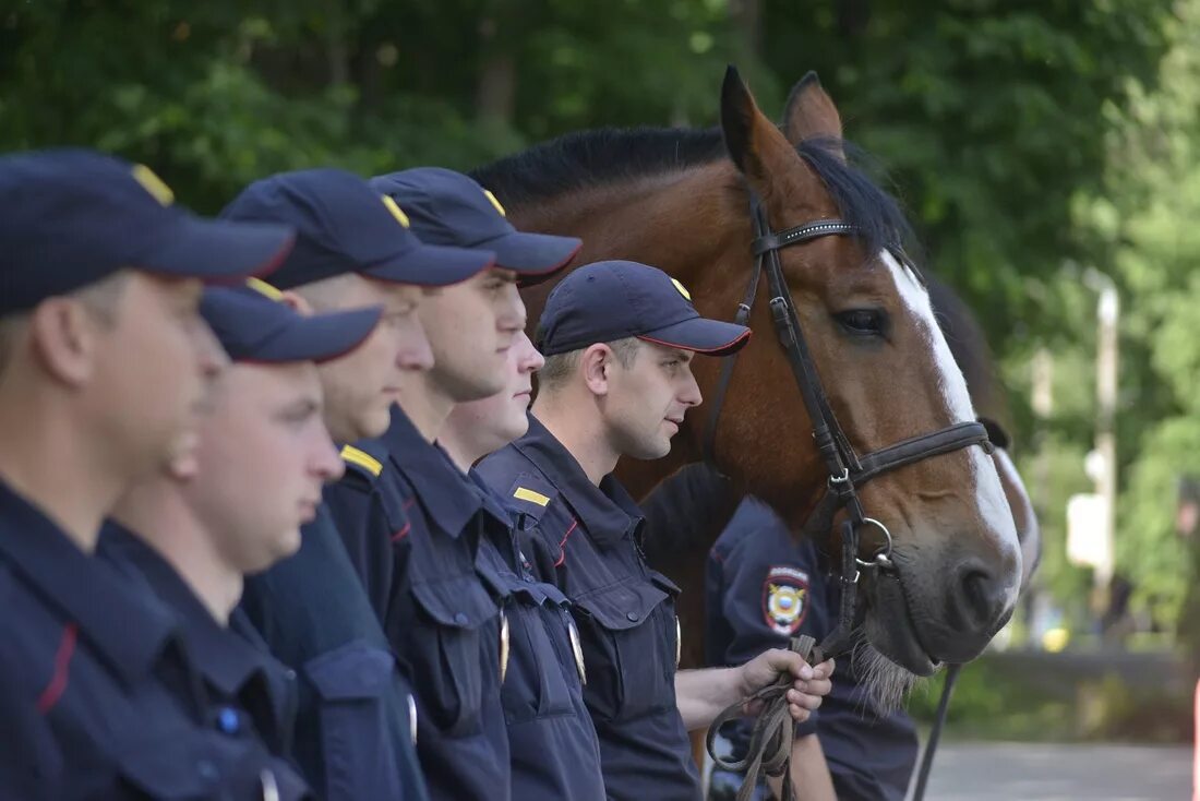 Фильм конная полиция. Артур смольянинов конная полиция. Конная полиция в москве. Сергей волков конная полиция. Конная полиция хорошие качества.