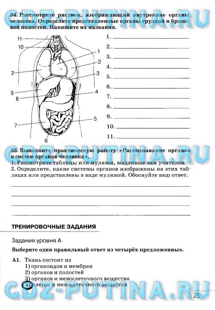 Биология 8 класс рабочая тетрадь агафонова. Биология 8 класс рабочая тетрадь Сонин Сапин. Биология тетрадь 8 класс Сонин. Биология 8 класс рабочая тетрадь Сонин Сапин стр. Биология 8 класс Сонин страница 75.