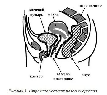 Прыщи на половых губах (белые, внутренние, подкожные) - что делать