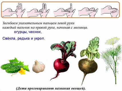 Пальчиковая игра овощи