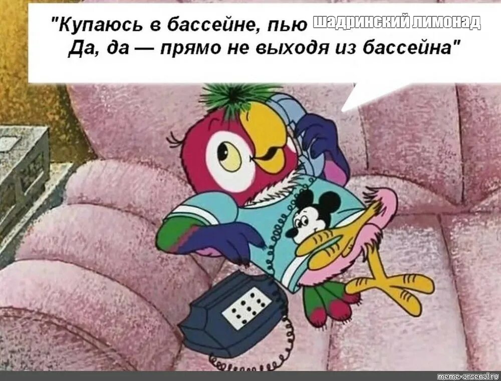 Попугай Кеша пью Джус. Возвращение блудного попугая. Блудный попугай. Попугай Кеша пью Джус купаюсь в бассейне. Неплохо жил неплохо пил