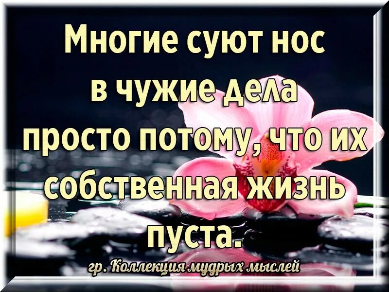 Разрушают чужую жизнь. Не лезьте в чужую семью. не суйте свой нос в чужую жиз. не лезть в чужую жизнь. люди не лезьте в чужую жизнь.