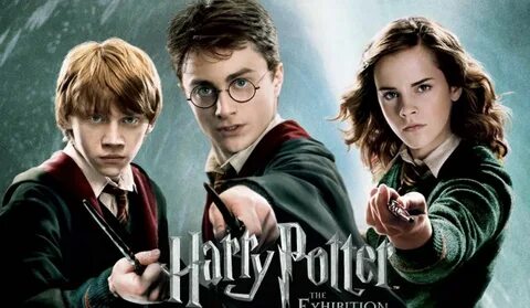 Harry potter home