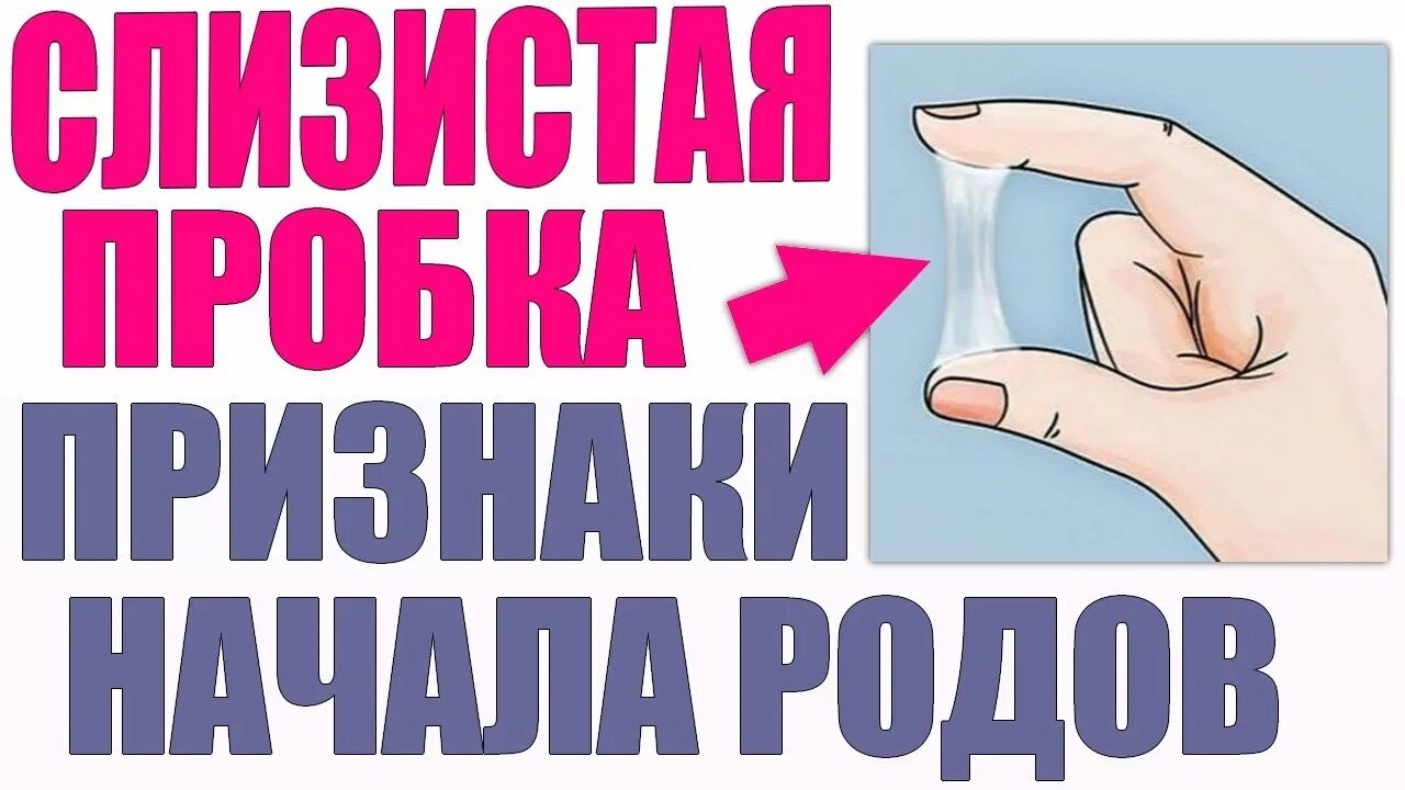 Пробка при беременности за сколько до родов. Отошла слизистая пробка. Пробка отходит при беременности. Беременность отошла пробка. Слизистая пробка отхождение.