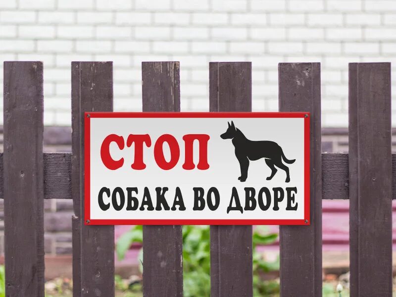 Табличка на забор. Во дворе собака табличка. Таблички на забор про собак. Злая собака на заборе. Вывески во дворе