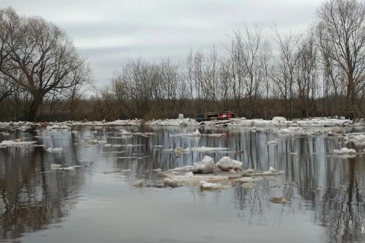 Великий новгород уровень воды. Река. Половодье Великий Новгород. Река Ловать. Старая Русса разлив реки.