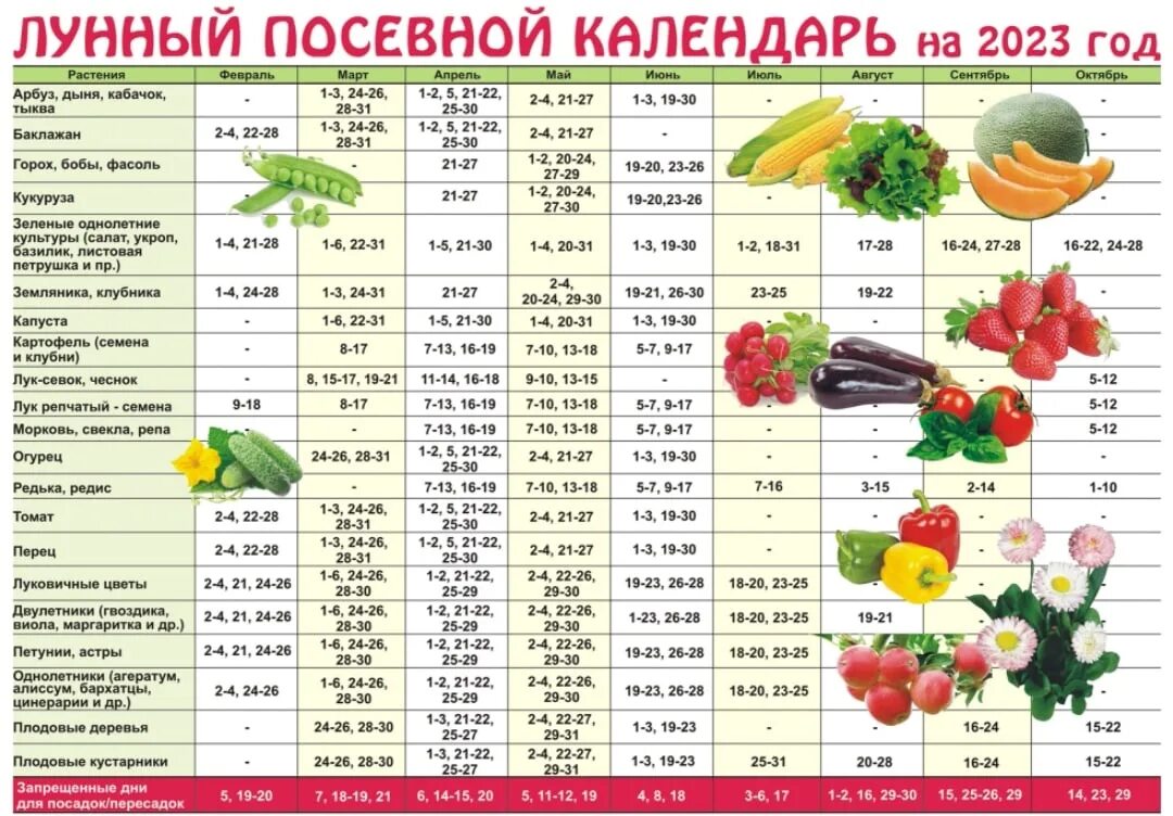 Календарь на 2025 сеять рассаду. Календарь рассады. календарь по посадке рассады 2025. календарь посадки овощей. календарь посева растений.