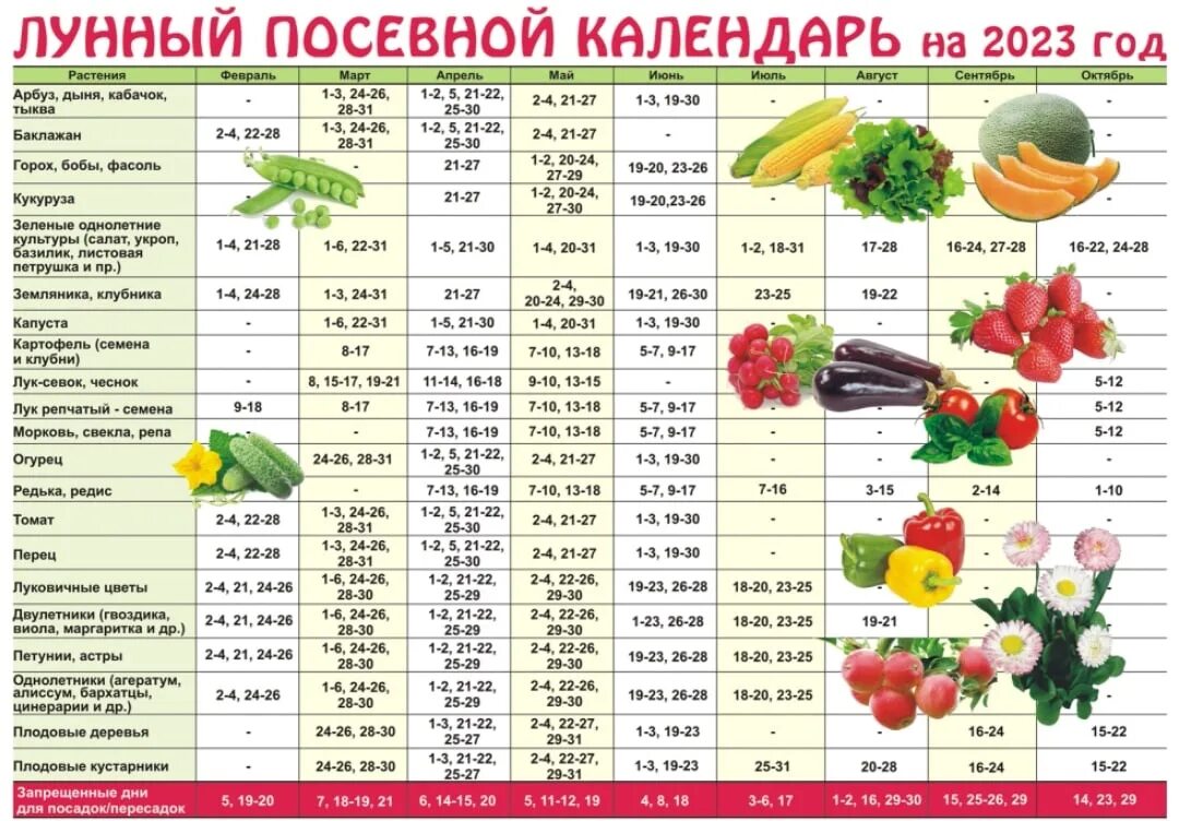 Дни для высадки рассады в марте. Календарь посева рассады на 2023. Календарь по посадке рассады 2023. Календарь посадки овощей. Таблица посевного календар.