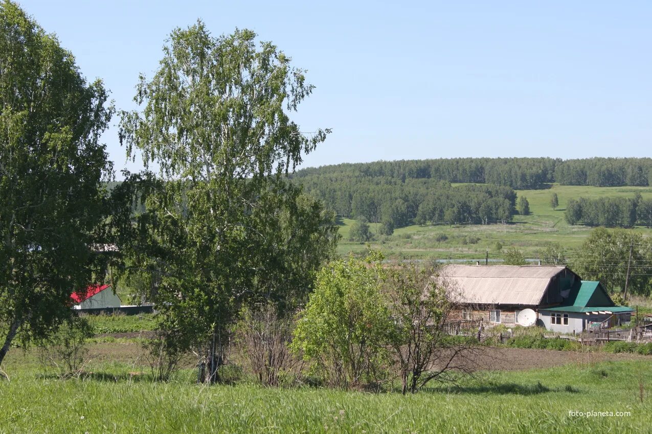 Село дубровино новосибирская область. Погода порос мошковский. Погода порос мошковский. Погода порос мошковский. Посёлок мошково новосибирской.