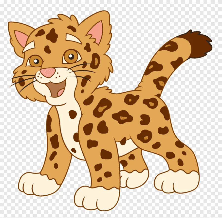Cartoon png. Гоу Диего гоу малыш Ягуар. Малыш Ягуар Диего. Диего леопард. Мультяшные животные.