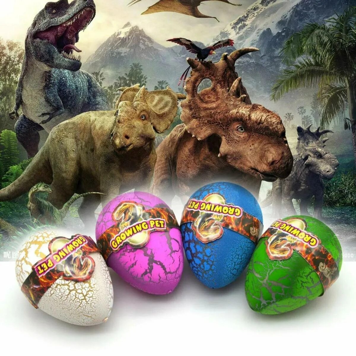Динозавр с яйцом. Разноцветные яйца динозавров. Яйцо динозавра настоящее. Яйцо динозавра для детей.