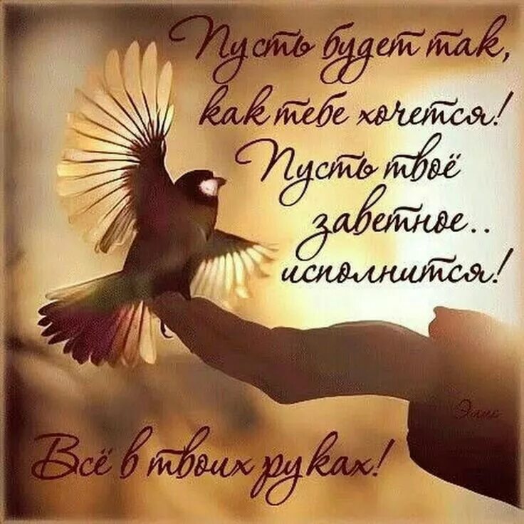 Пусть будет все чего душа желает. Пусть будет так как хочешь ты картинки. Пусть всё будет как ты захочешь. Птица надежды. Картинки добра.